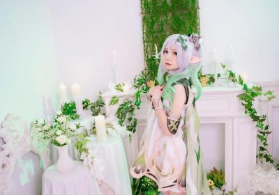 喵小吉双子天竺的最新代表作：照片集锦，高清呈现