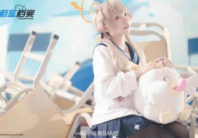 鲨鱼same小蓝鸟图片包：倾注心血，精彩绝伦