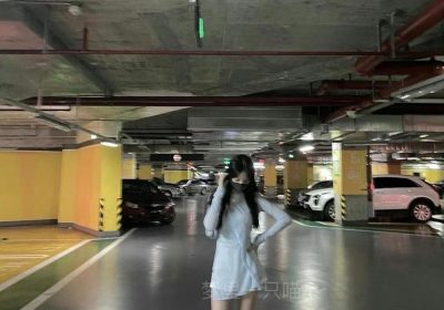 梦里一只喵收费照片，助你拥有最火的图片图片包