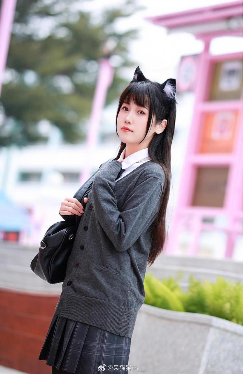不呆猫小蓝鸟的原图大赏,完美拍摄技巧一览无余 不呆猫小蓝鸟的原图大赏,完美拍摄技巧一览无余