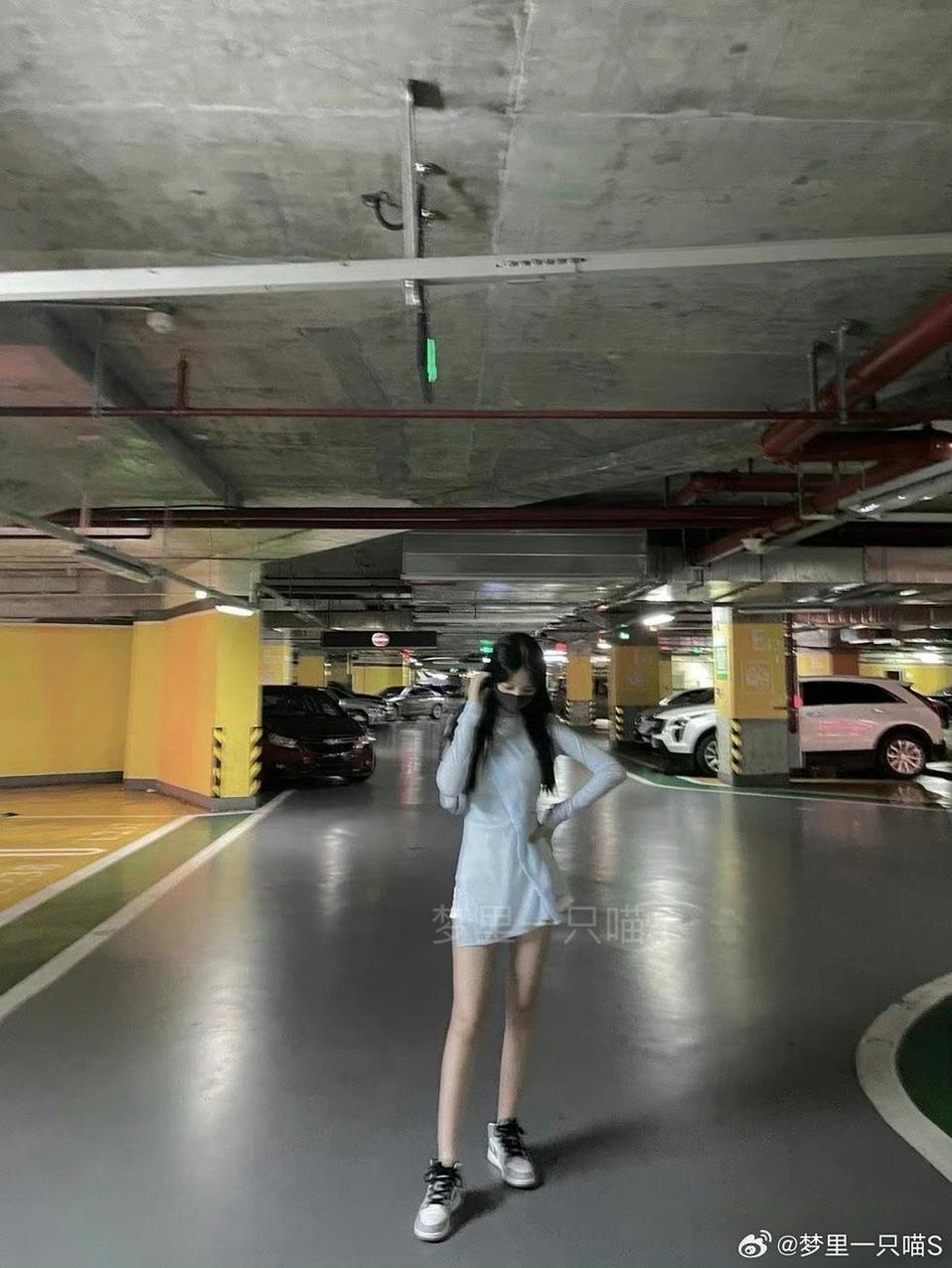 梦里一只喵收费照片,助你拥有最火的图片图片包 梦里一只喵收费照片,助你拥有最火的图片图片包
