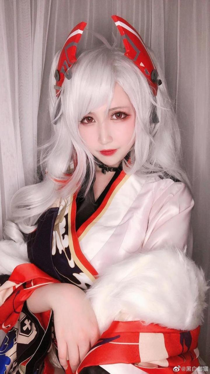 高清原图带你走进黑白御猫图片之美 高清原图带你走进黑白御猫图片之美