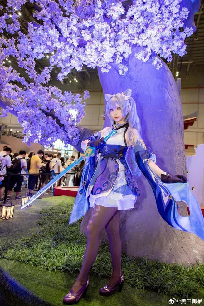 从未见过如此好看的黑白御猫白猫 从未见过如此好看的黑白御猫白猫